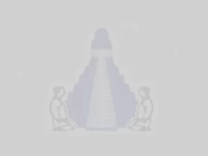 El signo del Judo